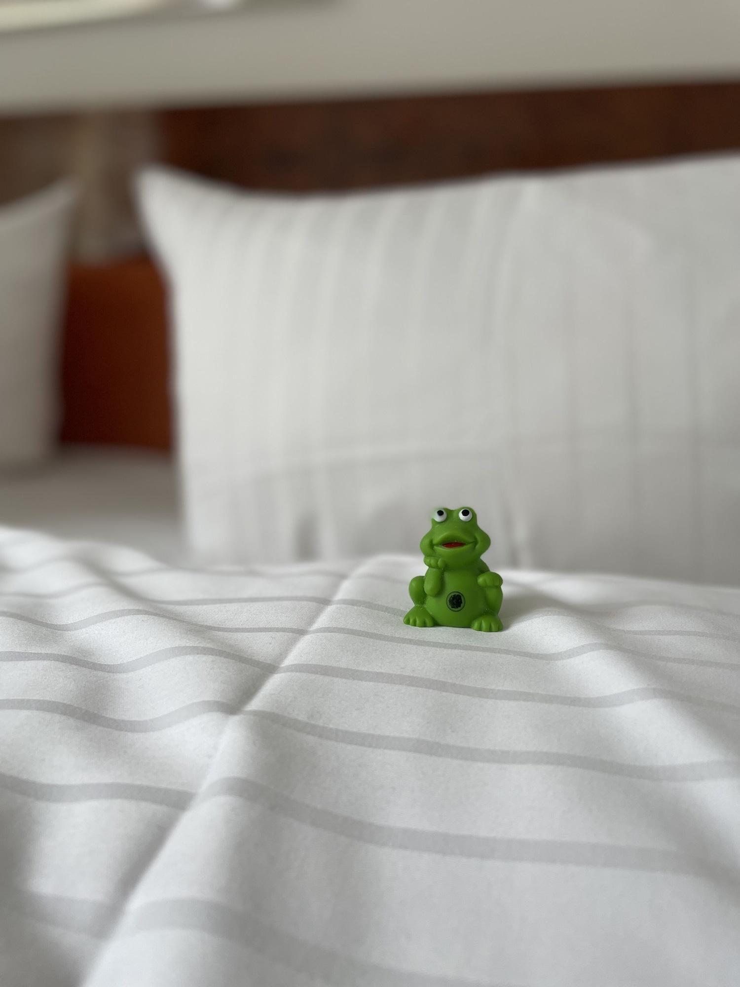 Alexander Am Zoo Hotel